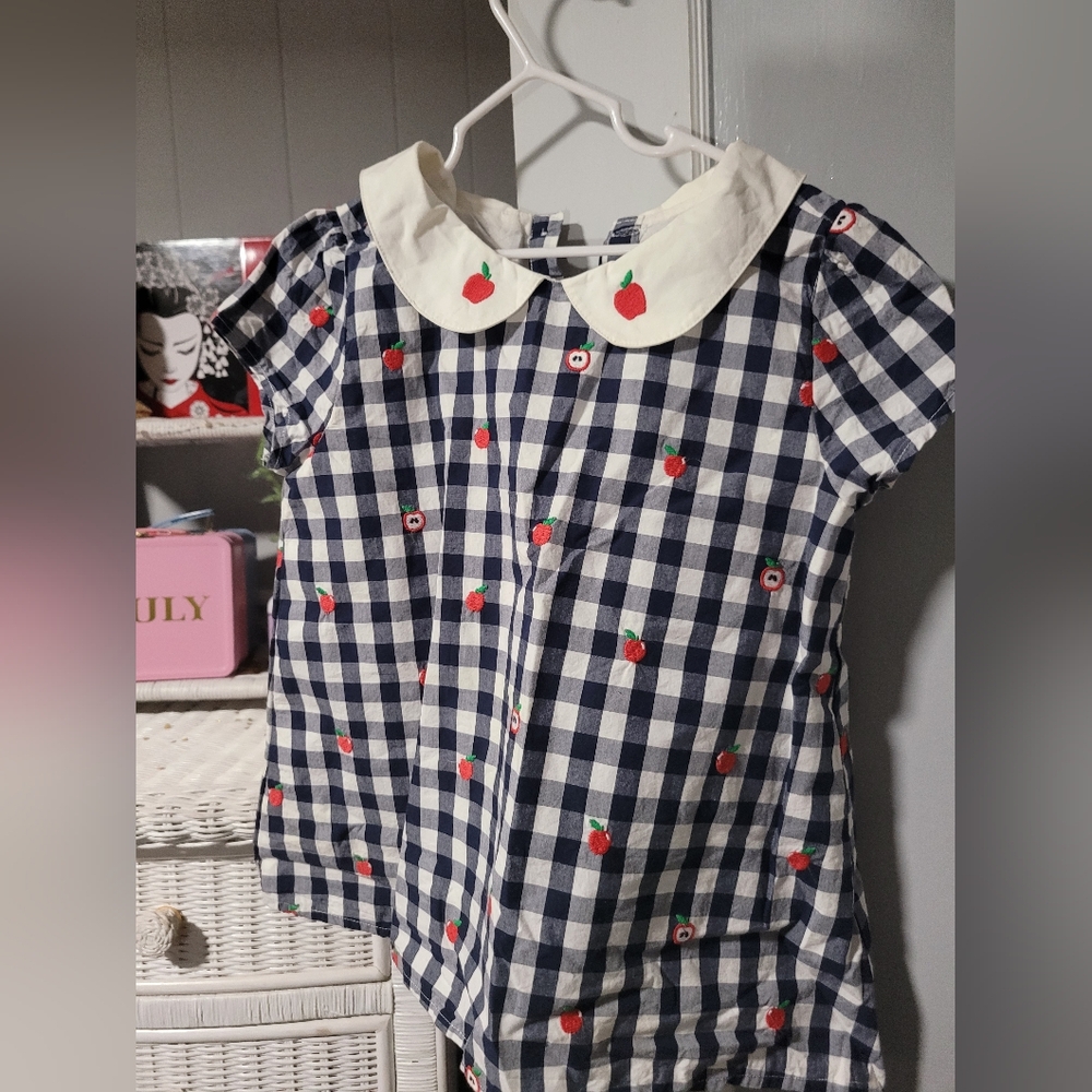 Gymboree Blue and White Gingham Blouse with Playful Hearts